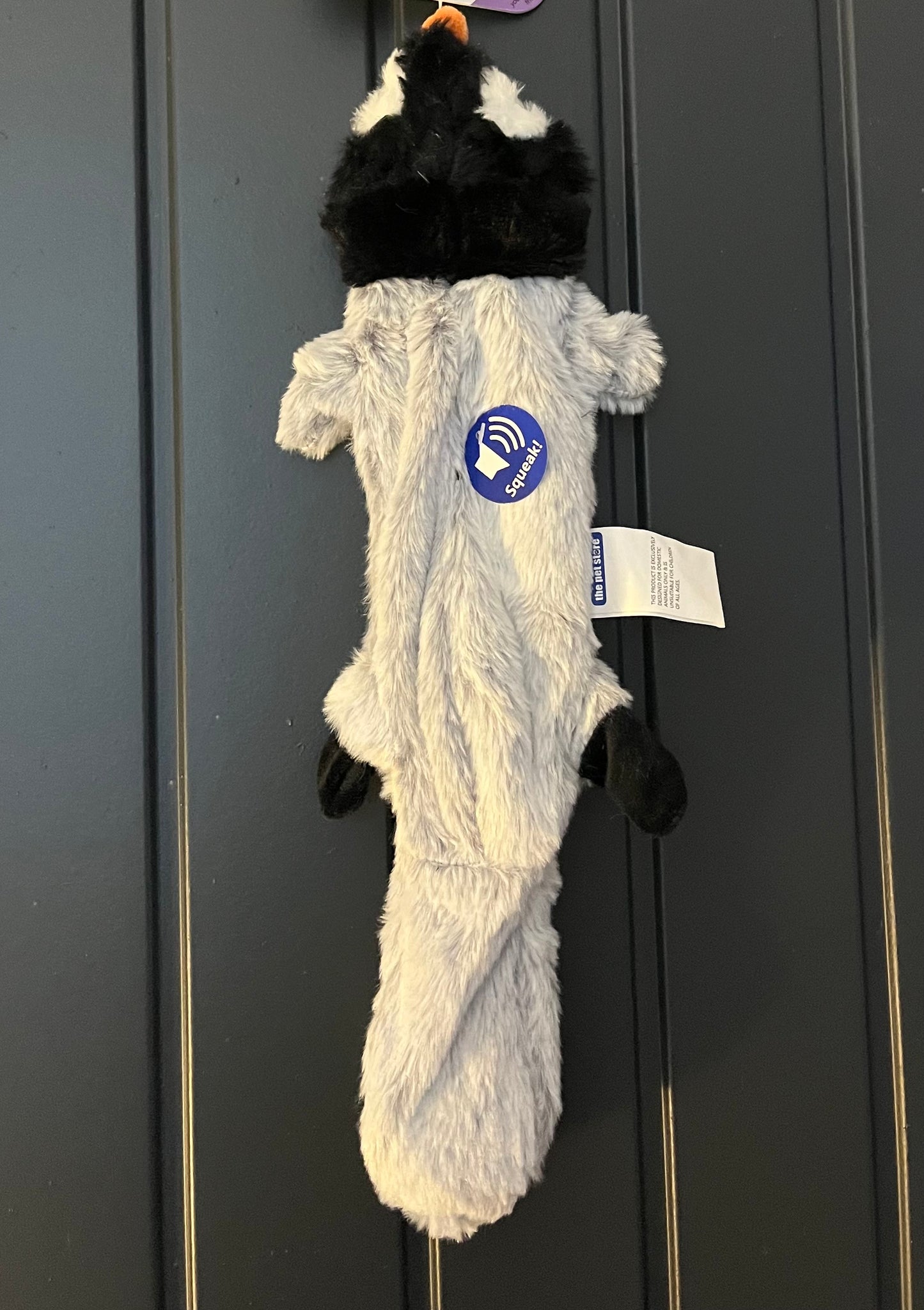 Long Squeaky Crinkle Toy