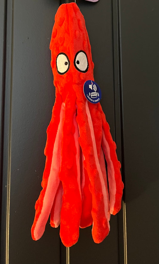 Mr Octopus