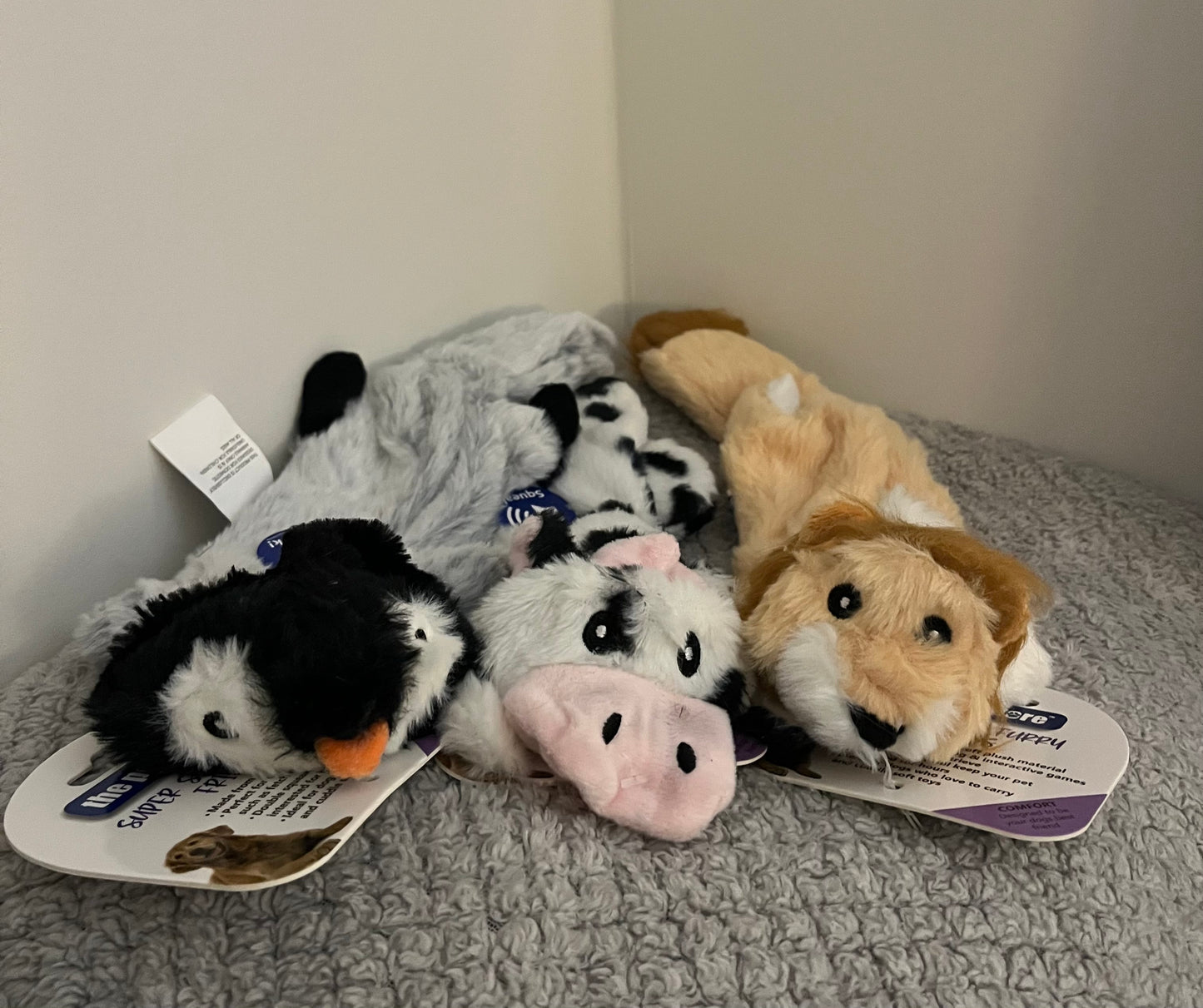 Long Squeaky Crinkle Toy