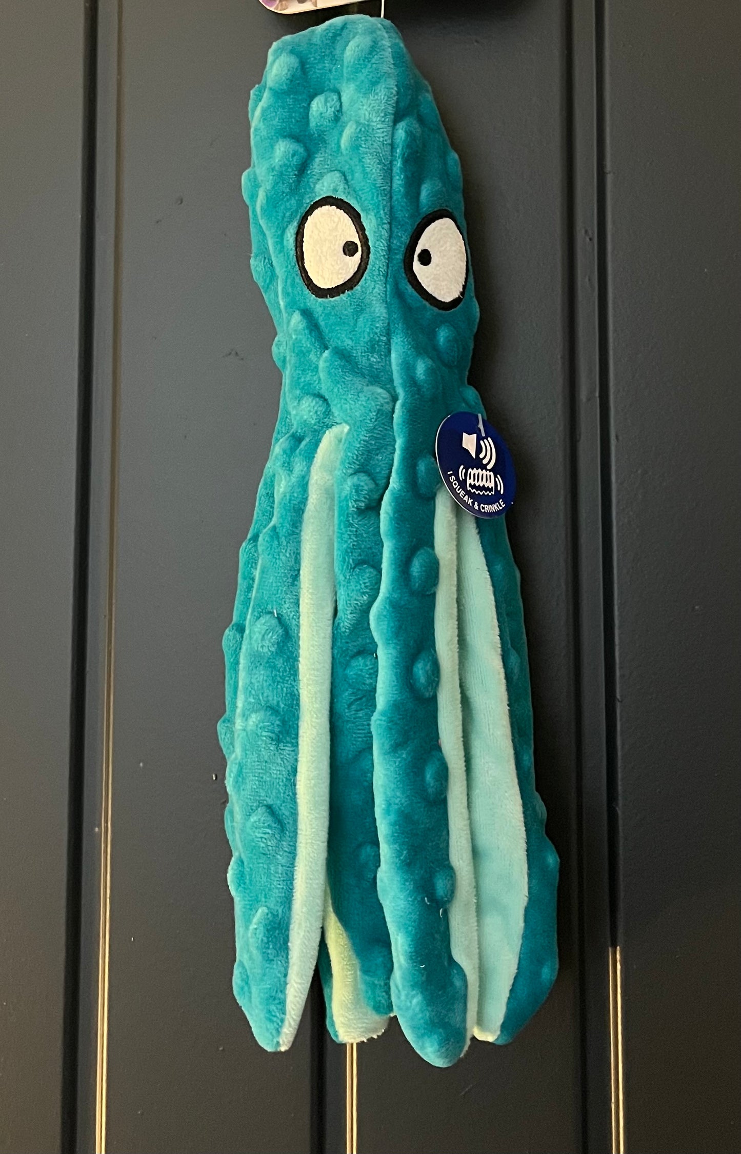 Mr Octopus