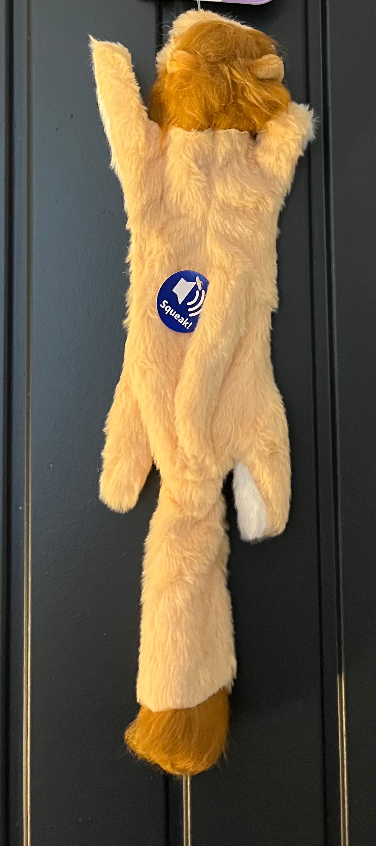 Long Squeaky Crinkle Toy