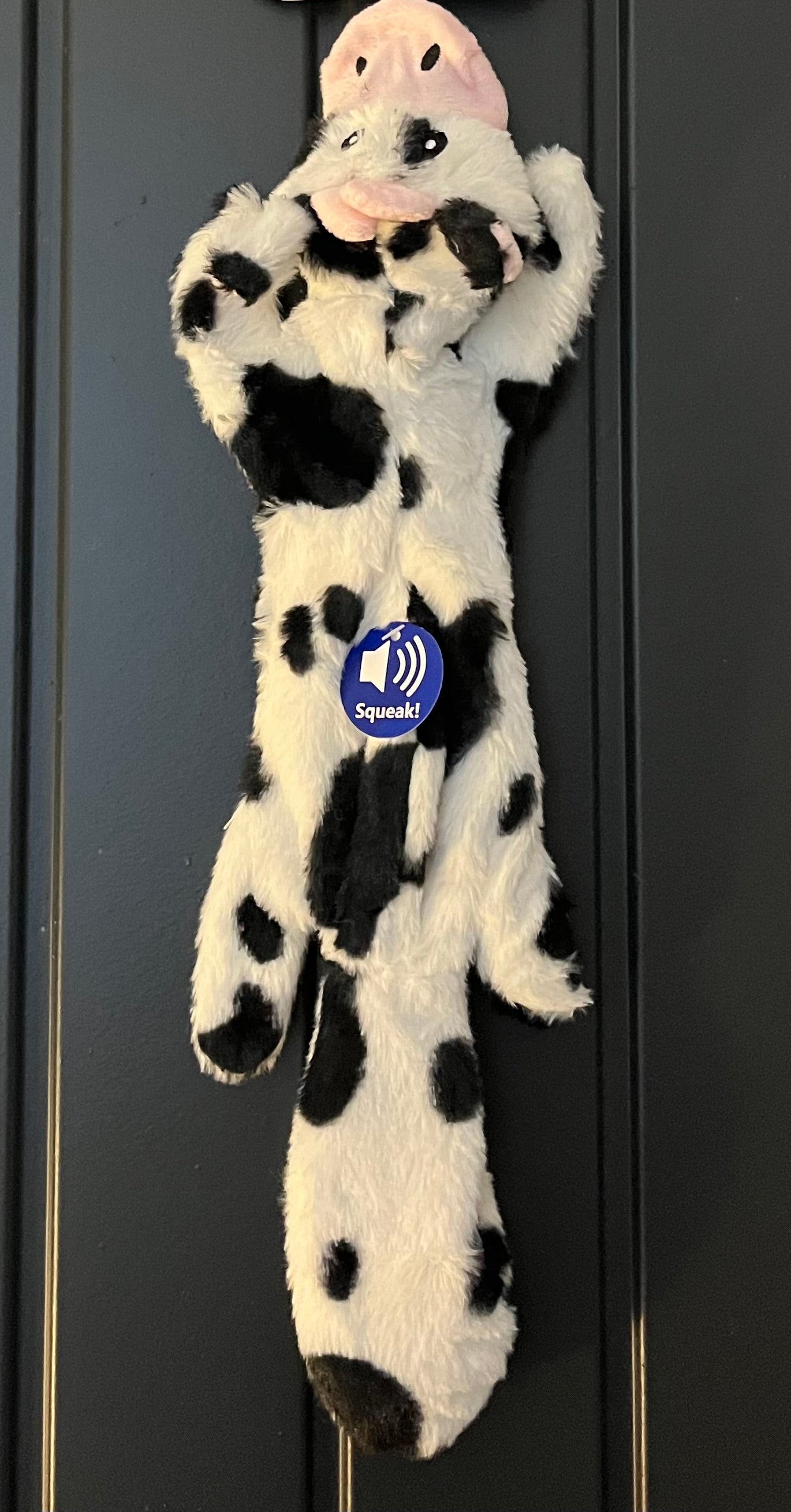 Long Squeaky Crinkle Toy