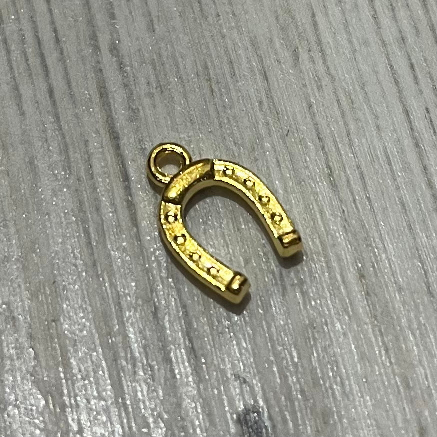 Horseshoe Charm